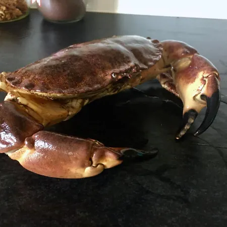 Fishermans View Nyaraló