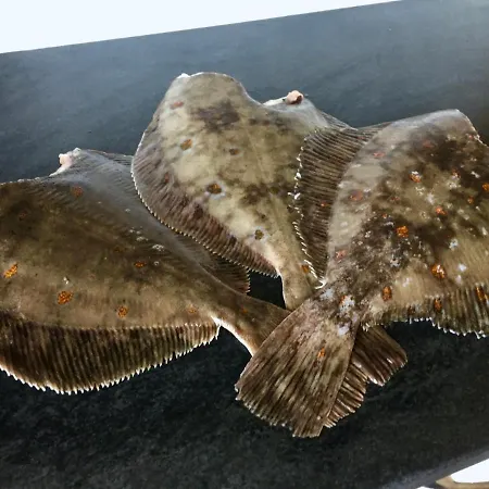 Semesterbostad Fishermans View Alstad (Nordland)